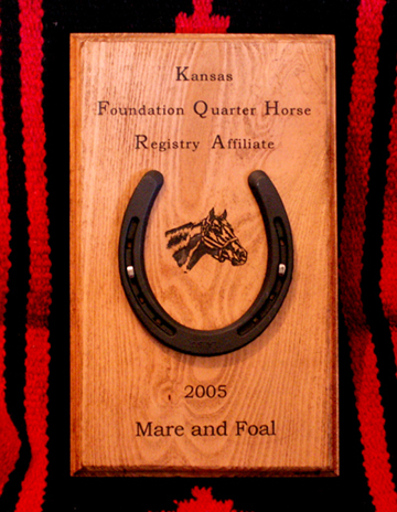 horseshoe plaque